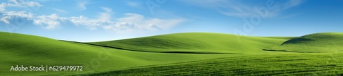 landscape with green grass and sky