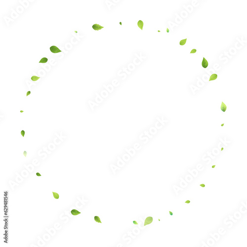 Leaves Green Falling Flying Foliage Leaf Tea Mint