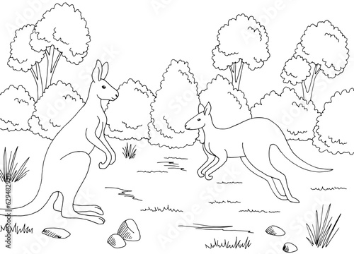Kangaroo in the forest graphic black white sketch illustration vector
