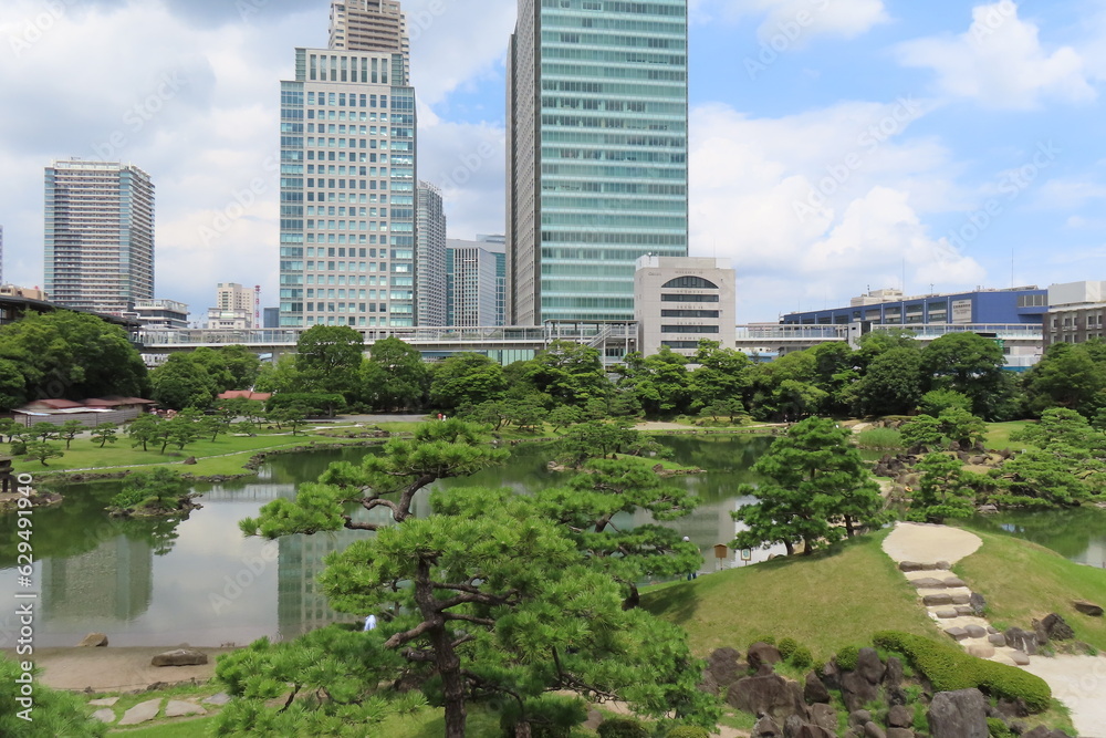 Fototapeta premium 都会のオアシス