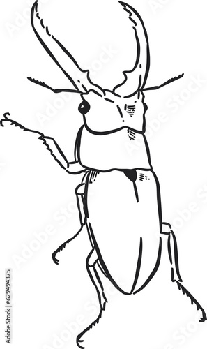 Beetle bug illustration 3 © bubuk_mesiu