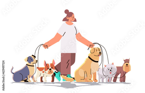 woman dog handler walks with pets best friends domestic animals walking service volunteering pet care concept