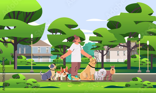 woman dog handler walks with pets in park best friends domestic animals walking service volunteering pet care concept
