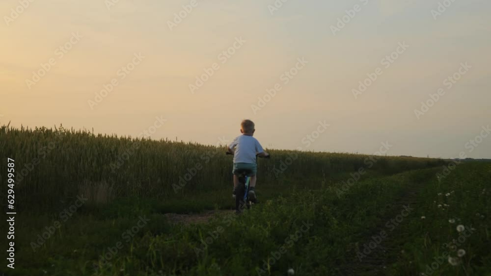 A little boy rides through a field during sunset. The camera follows the boy from behind, and the boy looks back and smiles and looks into the camera. Happy boy of 5 years on a bicycle. 4k footage A little boy rides through a field during sunset. The camera follows the boy from behind, and the boy looks back and smiles and looks into the camera. Happy boy of 5 years on a bicycle. 4k footage