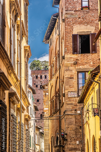 Fototapeta Naklejka Na Ścianę i Meble -  Guinigi Tower in the small streets of Lucca in Italy