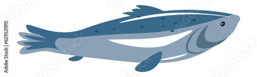 Fresh fish, shop product, seafood meat vector