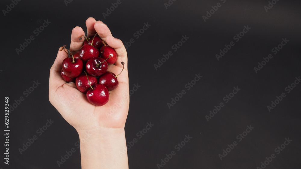 Hand is holding group of cherries on black background. Hand is holding group of cherries on black background.