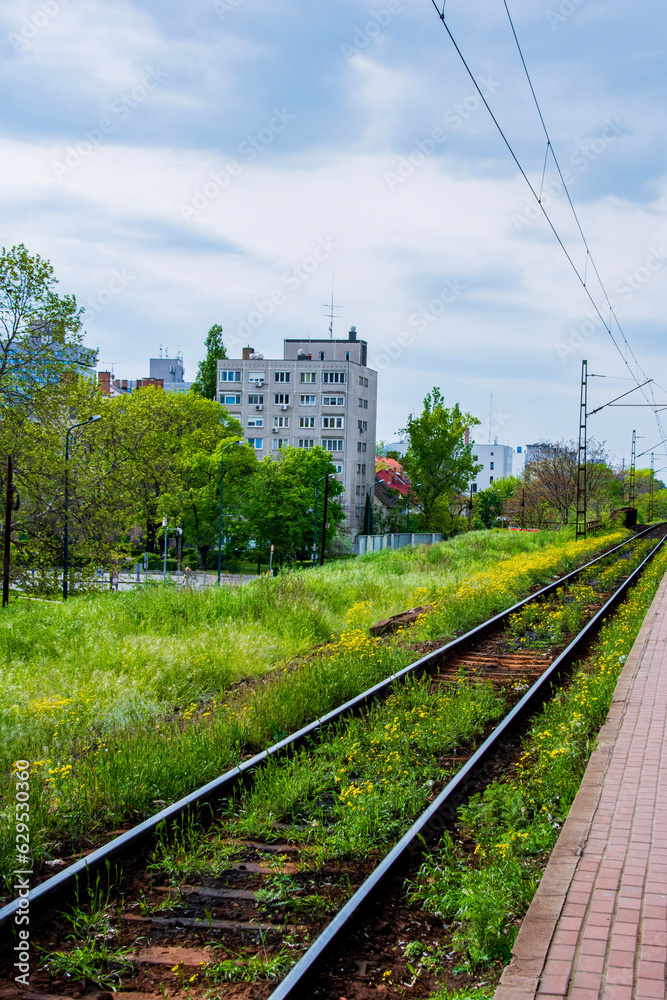 Fototapeta premium railway in the countryside