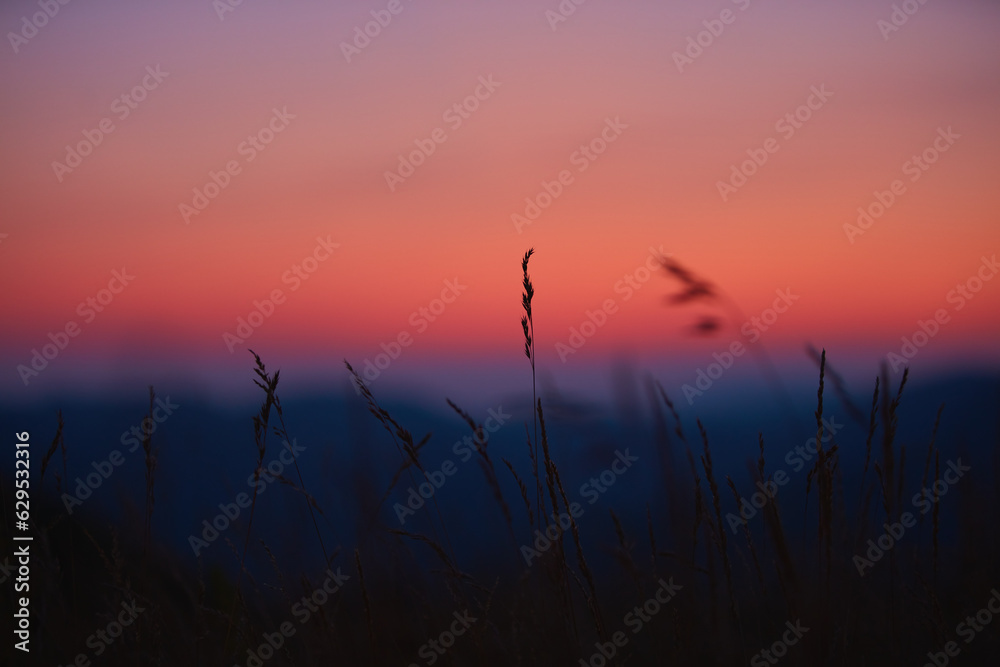 Silhouette of grass and meadow in blue hour sunset time on a mountain. Silhouette of grass and meadow in blue hour sunset time on a mountain.