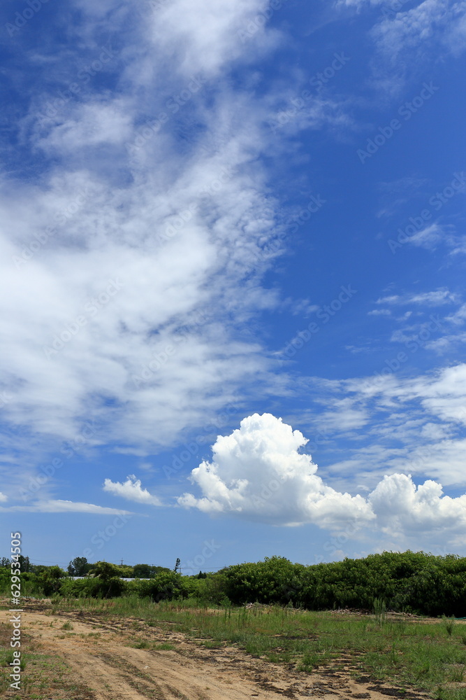 青空が広がる夏の空と入道雲