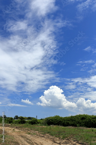 青空が広がる夏の空と入道雲