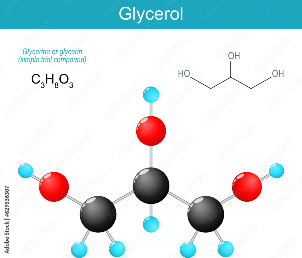 Glycerol molecule. Glycerol molecule.