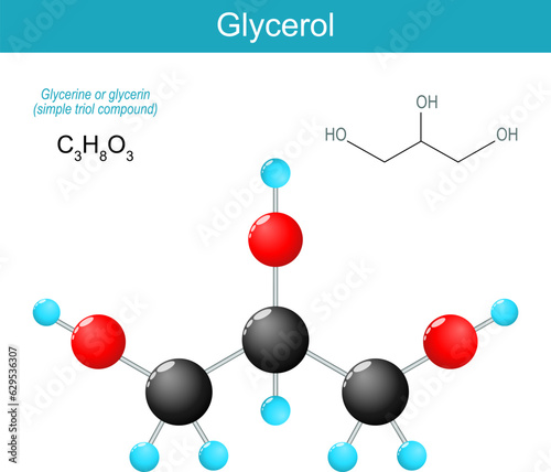 Glycerol molecule.