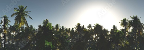 Silhouettes of palm trees on sunset background  palm trees in the sky  3d rendering