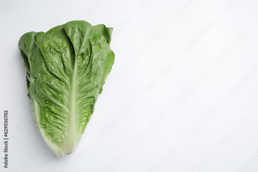 Fresh green romaine lettuce on white background, top view. Space for text Fresh green romaine lettuce on white background, top view. Space for text