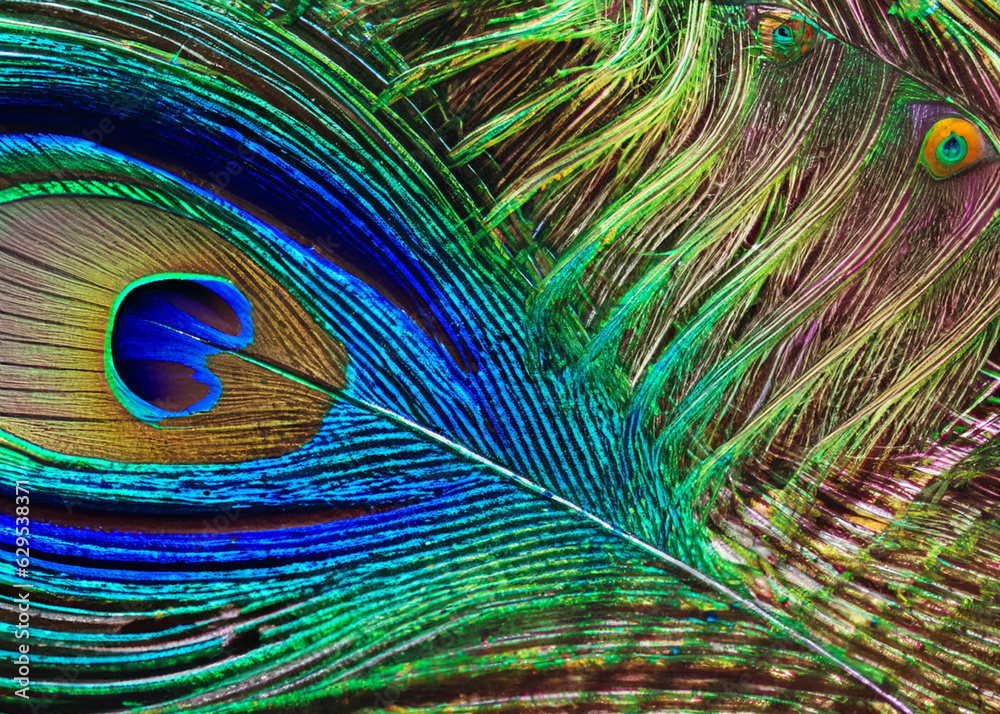 Obraz premium abstract peacock feather pattern created with generative ai technology