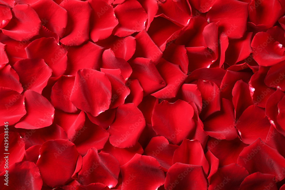 Beautiful red rose petals as background, top view Beautiful red rose petals as background, top view