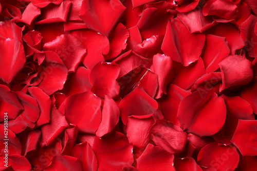 Canvastavla Beautiful red rose petals as background, top view
