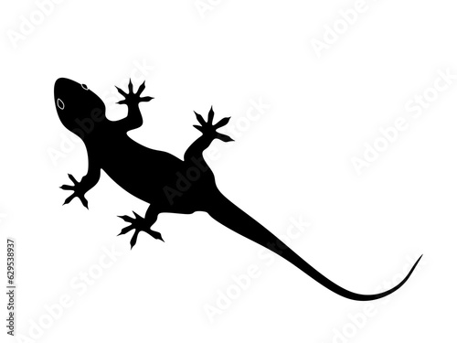 lizard vector on white background.lizard silhouette