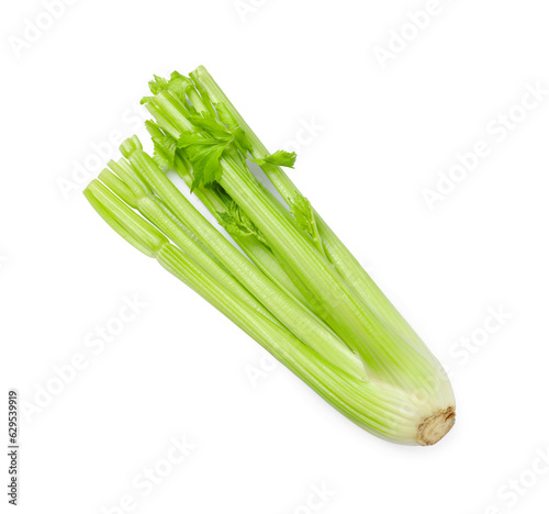 One fresh green celery bunch isolated on white  top view