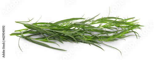 Bunch of fresh tarragon on white background