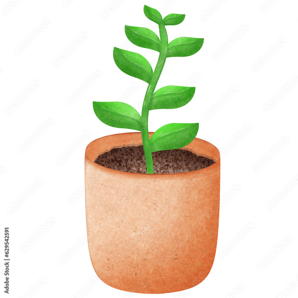 Potted plants painted with watercolors Potted plants painted with watercolors