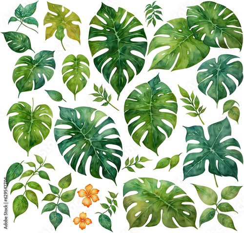 Set of Tropical Botanical Floral Leaf Watercolor Illustrations  Isolated on Transparent Background for Design Elements. AI Generetive.