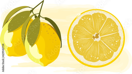 Summer fruits for healthy lifestyle. Yellow lemon, whole fruit and half. Vector illustration cartoon flat icon isolated on white.background.  レモンのイラスト 