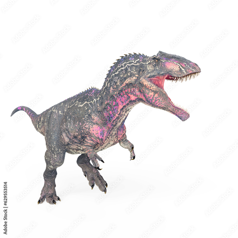 Fototapeta premium giganotosaurus is running on white background