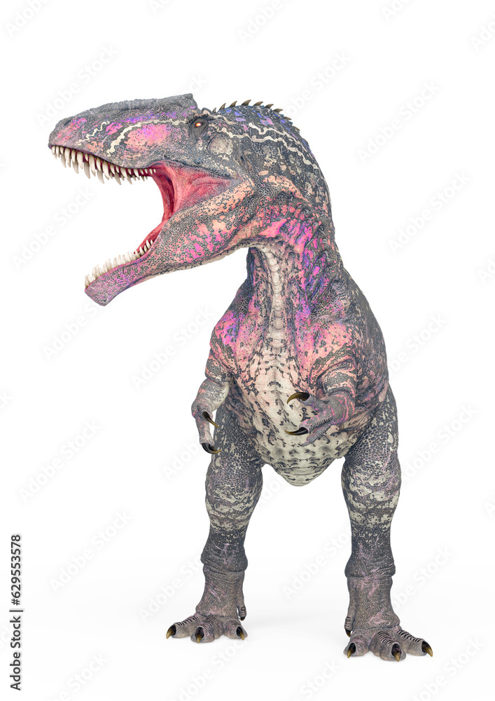 Fototapeta premium giganotosaurus is angry on white background