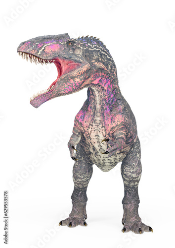 giganotosaurus is angry on white background