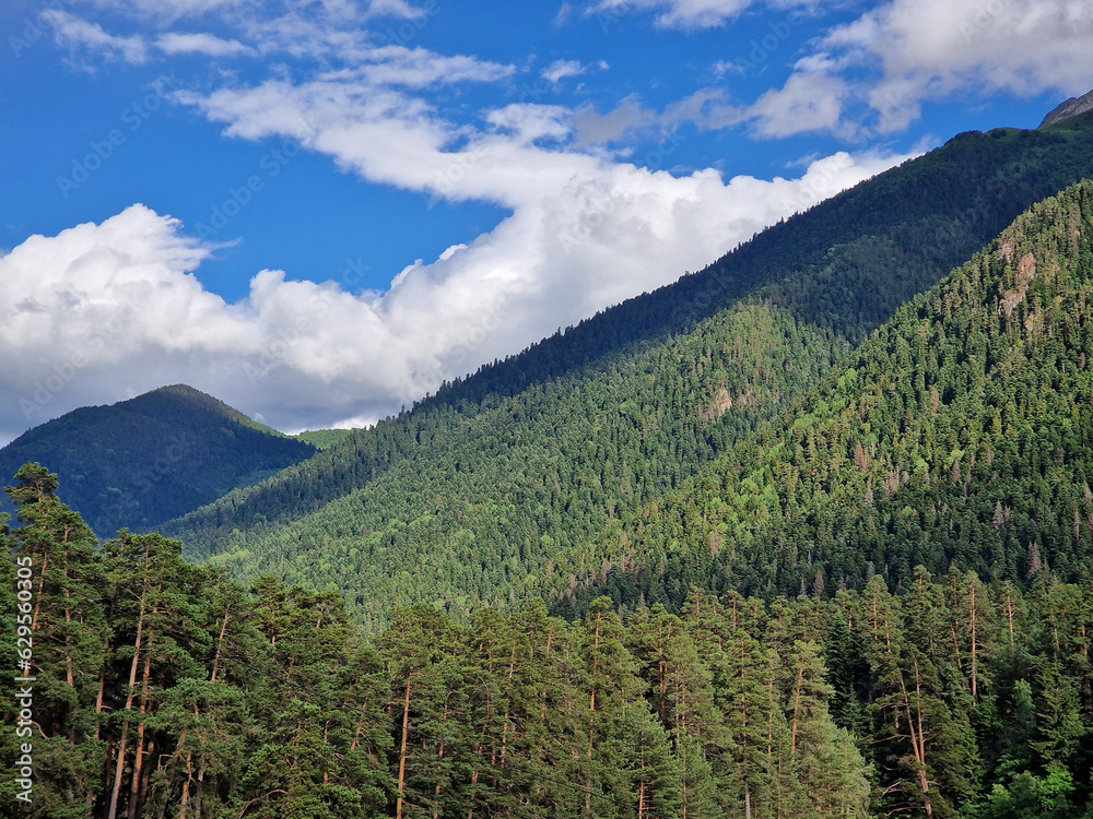 Green high mountains against a cloudy sky. Coniferous forest and rest in the mountains in summer