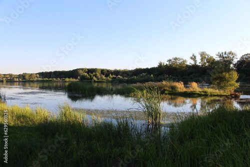 A body of water with grass and trees in the background © parpalac
