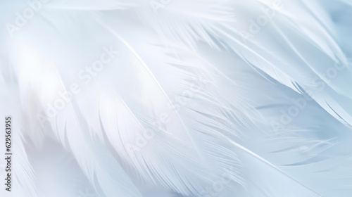 Leinwand Poster Airy soft fluffy wing bird with white feathers, macro