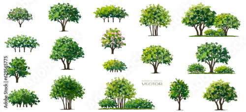 Vector of flower tree with grass or blooming shrub isolated on white background ,watercolor tree elevation for landscape concept,environment panorama scene,eco design,meadow for spring