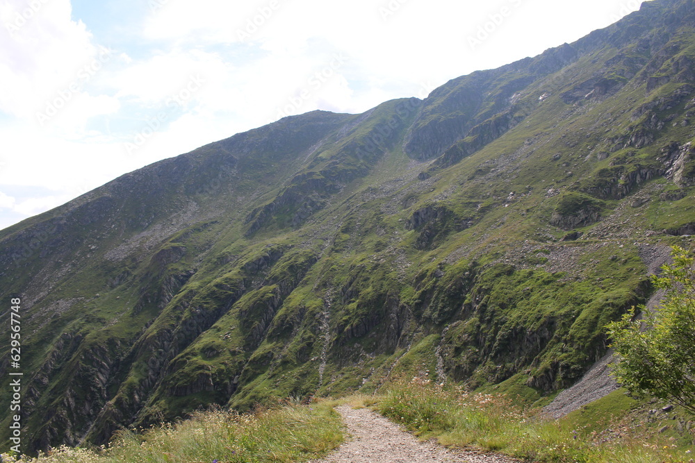 A path leading to a mountain A path leading to a mountain