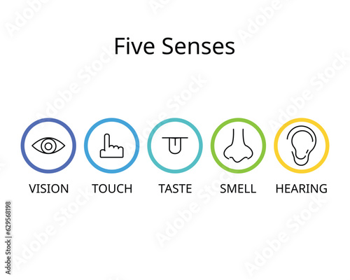five senses for vision, hearing, touch, smell, and taste