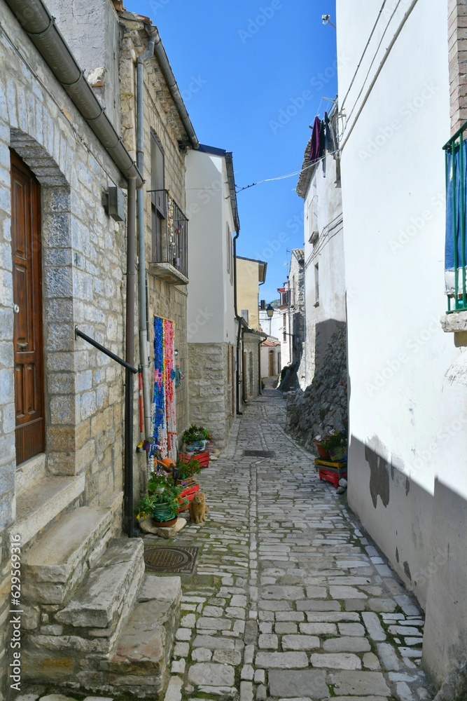 Fototapeta premium The Molise village of Gualdialfiera, Italy.