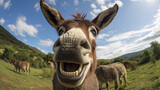 Fisheye Lens. Selfie of a happy donkey