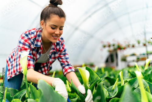A young girl takes care of flowers in a greenhouse, messy bun and checkered shirt photo