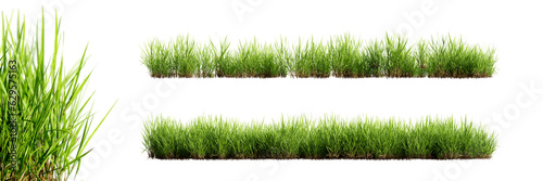 Green grass borders with selective focus closeup, isolated on transparent background. 3D render.