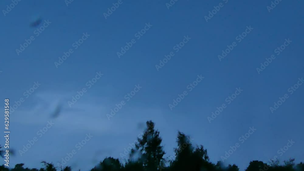Lightning discharges and flashes during a thunderstorm over horizon with trees. Dark blue stormy and rainy sky - slow motion. Lightning discharges and flashes during a thunderstorm over horizon with trees. Dark blue stormy and rainy sky - slow motion.