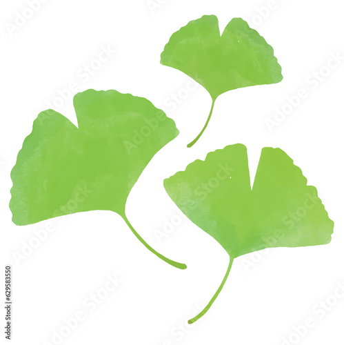 三枚の緑色のイチョウの葉っぱのイラスト
