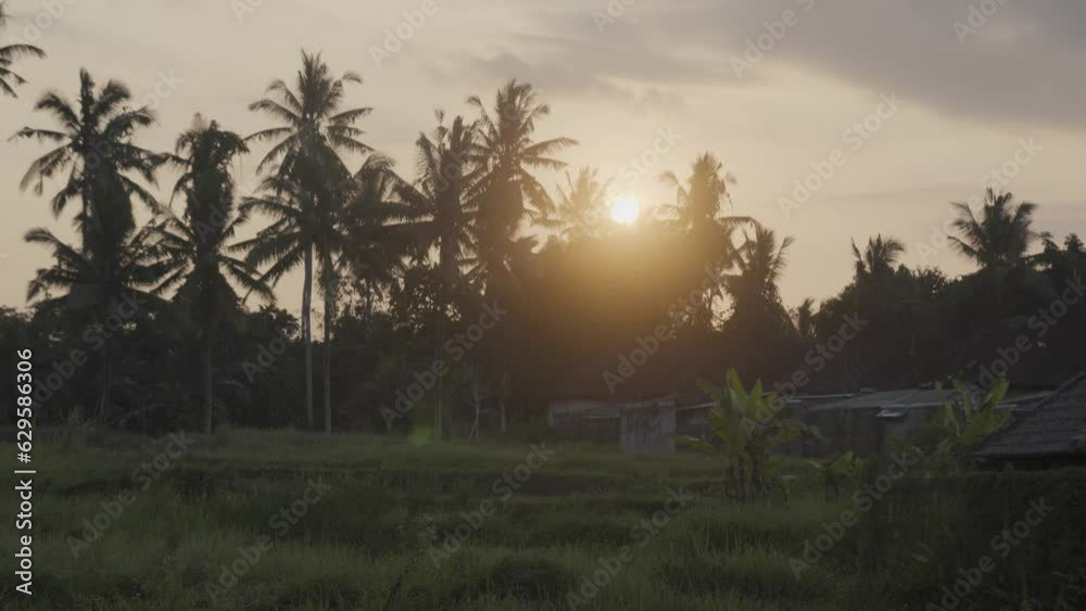 sunset over the coconut,palm trees on a tropical island sunset over the coconut,palm trees on a tropical island
