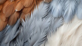 An image capturing the feathery and fluffy texture of an owl's plumage, with a mix of soft tones like gray, brown, and white in a pattern of bars and speckles