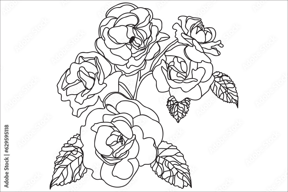 drawing, design, art, flower, rose, illustration, graphic, sketch, blossom, line, floral, decoration, plant, isolated, leaf, nature, outline, abstract, vintage, black, tattoo, contour, bloom,