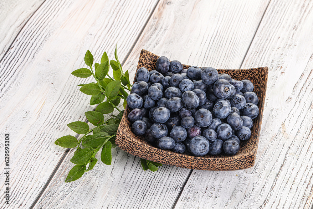 Ripe sweet blueberry in the bowl Ripe sweet blueberry in the bowl