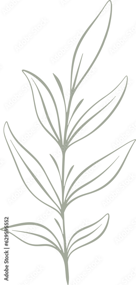 Fototapeta premium leaf minimal aesthetic