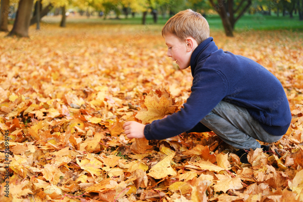 Adorable boy collecting and picking fallen tree leaves in autumn park. Adorable boy collecting and picking fallen tree leaves in autumn park.