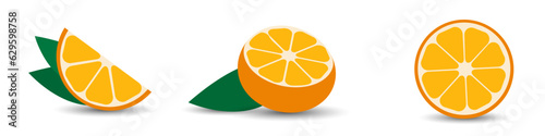 Orange. Orange Fruit. Fresh orange slices. Vector illustration